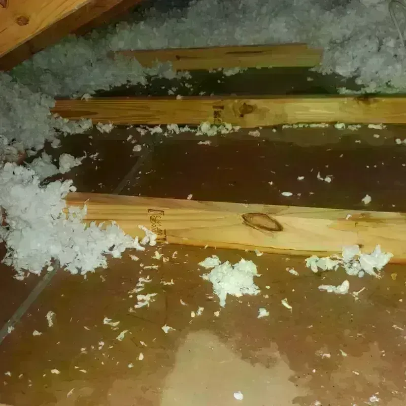 Attic Water Damage in Albion, NE