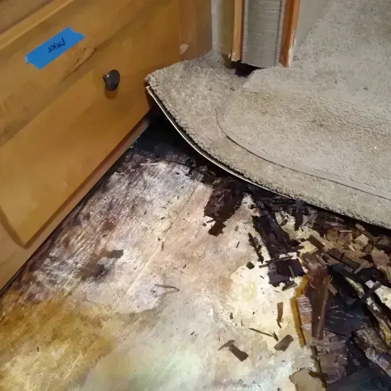 Best Wood Floor Water Damage Service in Albion, NE